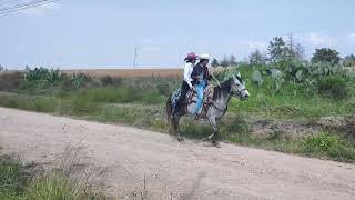 Cabalgata san Martín [upl. by Studnia]