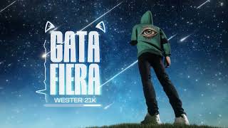 Wester 21k  GATA FIERA Visualizer [upl. by Uolymme]