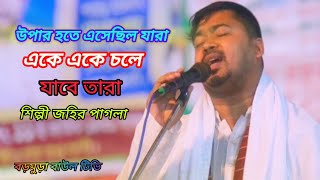 উপার হতে যারা এসেছিল সাথে তারাচলেগেছে যে যার আপন দেশে শিল্পী জহির পাগলাবড়মুড়া বাউল টিভি [upl. by Gretta]