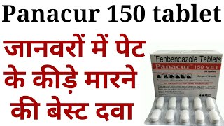 Panacur 150 tablet ke kya fayde haifenbendazole bolus uses in hindiDeworming karne ki tablet [upl. by Anyaled136]