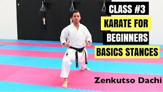 Martial Arts for Beginners – Lesson 3  Basic Karate Cobra Kai  Strong Stances [upl. by Del]