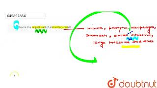 Name the largest part of alimentary canal  CLASS 10  LIFE PRCOCESS NUTRIENT RESPIRATION TR [upl. by Einotna]