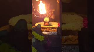 quotBhole Baba ki aarti se roshan jeevan ✨quot shortvideo shortvideo mahadev [upl. by Chelsy]