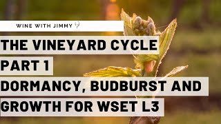 WSET Level 3 Wines  Understanding the Vineyard Cycle Part 1 [upl. by Nalani135]