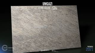 Tile Trends 202122  Textures amp Special Effects [upl. by Nolava]