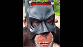 Best Batman Cosplay Moments☠️☠️ [upl. by Aenit]