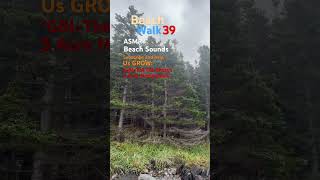 Newfoundland Beach Walk 39 ASMR Beach Sounds Beach beachsounds asmr [upl. by Risa33]