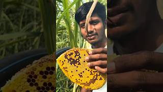 Honeycomb removal shorts trending viralvideo honeyshahad [upl. by Yecaj361]