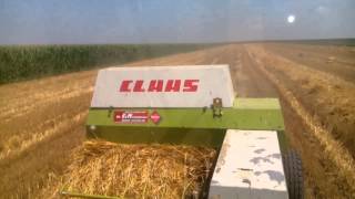 Claas markant 65 [upl. by Ehrlich]