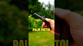 La MITICA PALM PISTOL  datoscuriosos datoscuriosos army [upl. by Htrahddis]