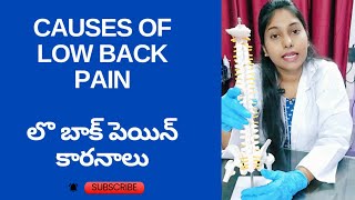 Reasons for back pain  బాక్ పెయిన్ కారనాలు [upl. by Norret]