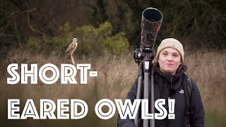 SHORT EARED OWLS And a 2024 GOAL or should we say GOWL and some bloopers [upl. by Dev735]