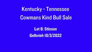 Lot 8 2024 KentuckyTennessee Cowmans Kind Bull Sale  Stinson [upl. by Milks]