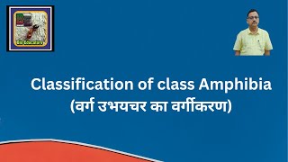 Classification of Class Amphibia वर्ग उभयचर का वर्गीकरण [upl. by Bowlds]