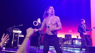 Iggy pop  The Passenger  Amsterdam 1052016 Post Pop Depression Tour [upl. by Einniw]