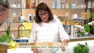 Så slipper du dålig lukt i avloppet  Nyhetsmorgon TV4 [upl. by Haonam326]