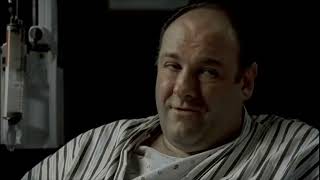 The Sopranos Season 6 Episode 04 The Fleshy Part of the Thigh Everythng is Everything [upl. by Cyprio921]