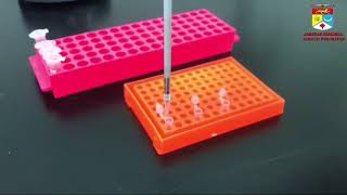 Polymerase Chain Reaction Restriction Fragment Length Polymorphism PCRRFLP [upl. by Aiepoissac]