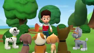 Paw Patrol full Episodes Part 2 cartoon cartoonvideo pawpatrol pawpatrolkidshindicartoon car [upl. by Ynolem]