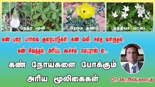 கண் நோய்களை போக்கும் அரிய மூலிகைகள்  Using herbs to treat Eye problems in Tamil Siddha Medicine [upl. by Parrish464]