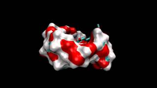 Molecular dynamics simulation of curcuminƔcyclodextrin complex [upl. by Delinda]