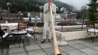 Feeling Sound  AlphornDidgeridoo [upl. by Haydon]