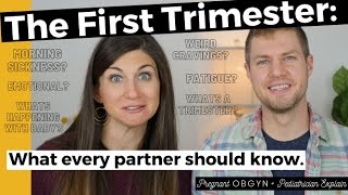 The First Trimester of Pregnancy What Every Partner Needs to Know  Symptoms Changes Baby Growth [upl. by Nylsor355]