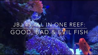 JBJ 45 All In One Reef Good Bad amp Evil Fish [upl. by Quince605]