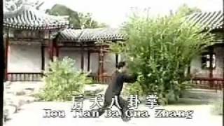 Gao style BaGua Zhang hand and weapon forms [upl. by Anahgem]