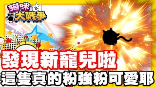 《哲平》手機遊戲 貓咪大戰爭  隨便聊隨便打  這隻真的超級可愛的耶  要進入到哲平最喜歡貓貓名單中了 [upl. by Ttam]