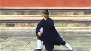 WUDANG TAICHI Quan 64 Forms by Wudang Master Tian Liyang [upl. by Ahsaekal263]