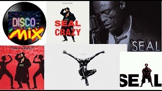 Seal  Crazy New Extended Maxi Disco Remix VP Dj Duck [upl. by Caro]