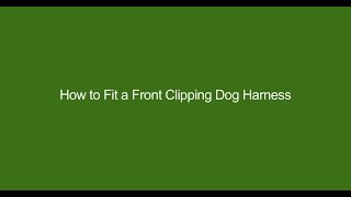 How to Fit a Front Clipping Dog Harness [upl. by Nehgem]