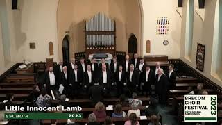 Little Innocent Lamb from Eschoir at Brecon Choir Festival [upl. by Llewellyn]