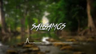 SALGAMOS Remix  Kevin Roldan Maluma  Leo Delgaudio DJ [upl. by Fayth]