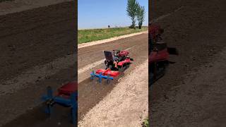 Orchard greenhouse management rotary tiller Multifunction microtillage machine [upl. by Langston]