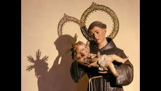 Novena to St Anthony  Tuesday Prayer to St Anthony  15Oct24 [upl. by Otreblide]