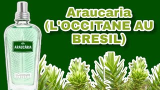 PERFUME ARAUCARIA  LOCCITANE AU BRESIL  RESENHA [upl. by Acassej]