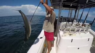 King Mackerel in the Gulf of Mexico [upl. by Warder]