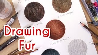 5 METHODS TO DRAW REALISTIC FUR Coloured Pencil Drawing Tutorial Episode 4 [upl. by Igor]