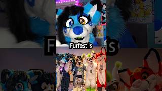 Are furry conventions getting TOO BIG 🦊 furry fursuit fursuiter [upl. by Ruiz]