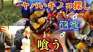 【キモ過ぎ注意】秋の～猛毒キノコ狩り～対決！そして食べてみた！【ヤバイ毒キノコ見付けた方の勝ち】きのこ狩り、種類 [upl. by Rosemari]