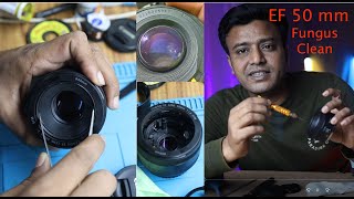 How to Remove Fungus at Home  EF 50 mm Fungus Clean [upl. by Htinnek]