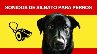 Sonidos de silbato para perros [upl. by Anavrin]