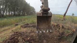 Volvo EC220DL Clearing invasive trees off another fence line [upl. by Hovey368]