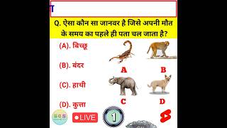 kis janvar ko अपने मौत के बारे में पहले ही पता चल जाता है।। shorts।। gk questions and answers।। [upl. by Violette]