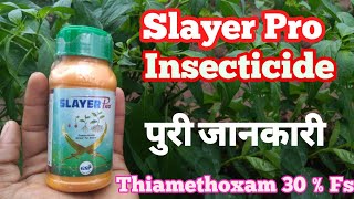 Thiamethoxam 30 fs  Slayer Pro insecticide  gsp crop science [upl. by Amabel]