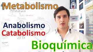 Metabolismo y Rutas metabólicas Anabolismo y Catabolismo EN 11 MINUTOS [upl. by Joya]