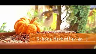 Schöne Herbstferien [upl. by Liman]