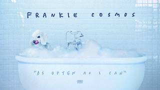 Frankie Cosmos  As Often as I Can [upl. by Nrojb]